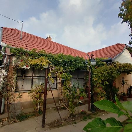 Bundik Vendeghaz Hotel Berettyoujfalu Exterior photo